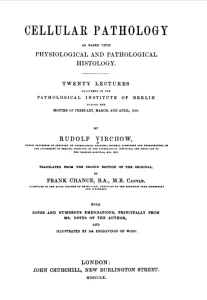 Wirchow's triad first description